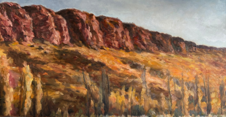 nicolette-eisdell-red-mountain-2025